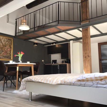 Savoya Nr2 Loft Studio Old City Center Self Check-In Workspace Timişoara Eksteriør billede